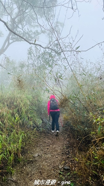 【台南南化】迷霧山徑。 小百岳集起來。 No.70小百岳~刣