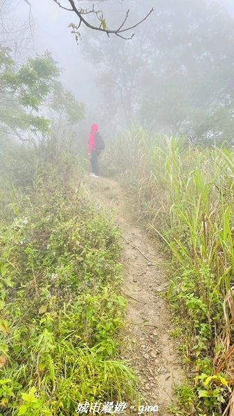 【台南南化】迷霧山徑。 小百岳集起來。 No.70小百岳~刣