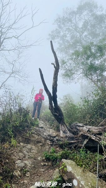 【台南南化】迷霧山徑。 小百岳集起來。 No.70小百岳~刣