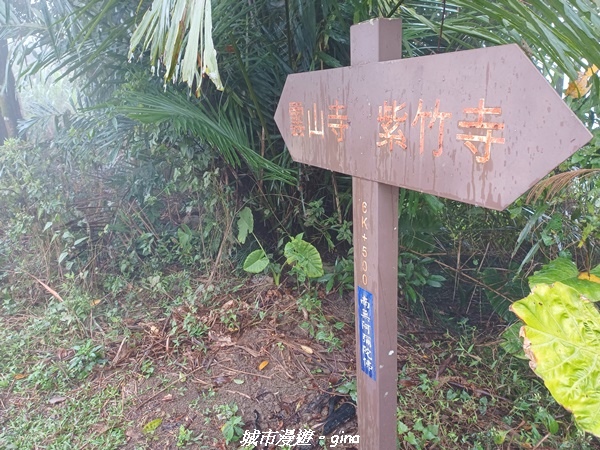 【台南南化】迷霧山徑。 小百岳集起來。 No.70小百岳~刣