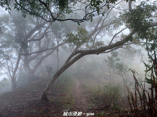 【台南南化】迷霧山徑。 小百岳集起來。 No.70小百岳~刣