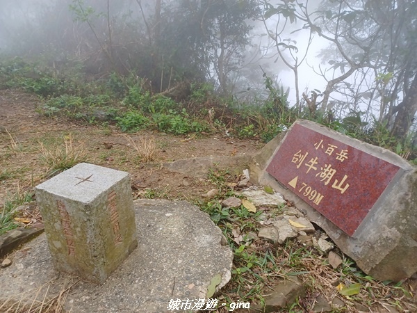 【台南南化】迷霧山徑。 小百岳集起來。 No.70小百岳~刣