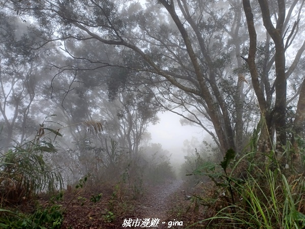 【台南南化】迷霧山徑。 小百岳集起來。 No.70小百岳~刣