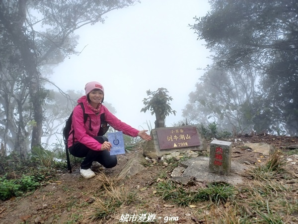 【台南南化】迷霧山徑。 小百岳集起來。 No.70小百岳~刣