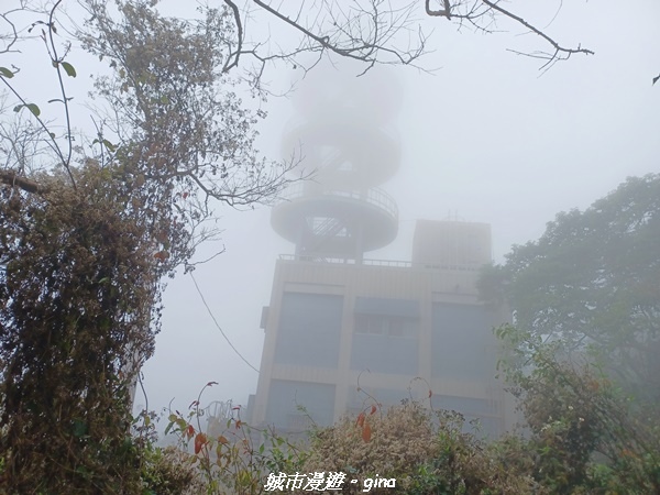 【台南南化】迷霧山徑。 小百岳集起來。 No.70小百岳~刣