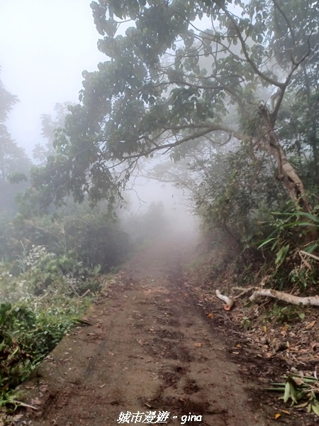 【台南南化】迷霧山徑。 小百岳集起來。 No.70小百岳~刣