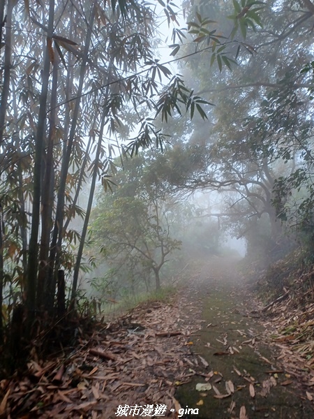 【台南南化】迷霧山徑。 小百岳集起來。 No.70小百岳~刣