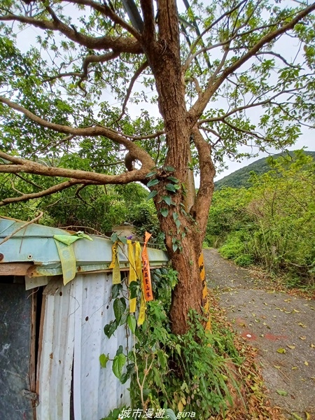 20220219_101312.jpg 20220219_101312.jpg