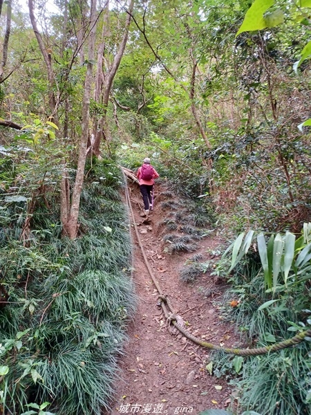 20220219_102321.jpg 20220219_102321.jpg