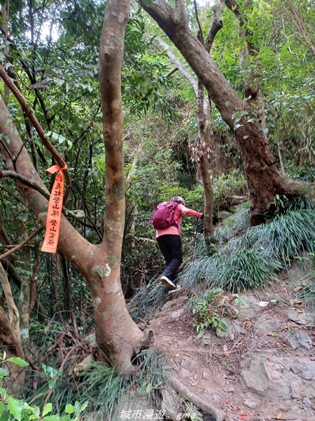 20220219_103856.jpg 20220219_103856.jpg