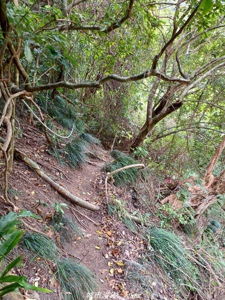 20220219_104009.jpg 20220219_104009.jpg