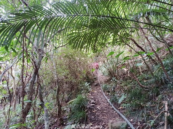 20220219_111804.jpg 20220219_111804.jpg