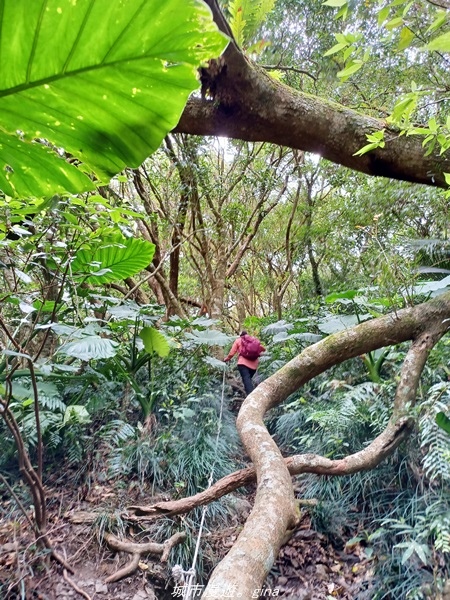 20220219_115454.jpg 20220219_115454.jpg