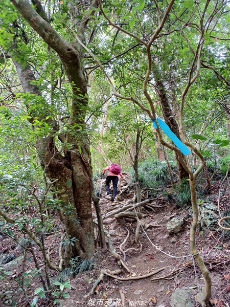 20220219_112145.jpg 20220219_112145.jpg