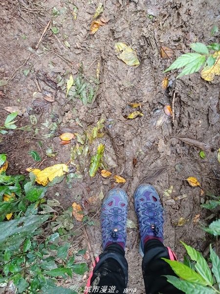 20220219_123407.jpg 20220219_123407.jpg