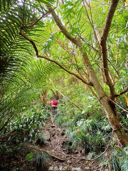 20220219_120142.jpg 20220219_120142.jpg