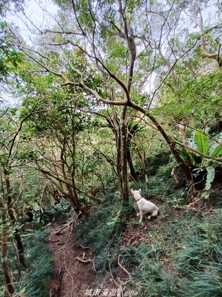 20220219_121944.jpg 20220219_121944.jpg