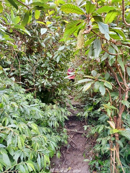 20220219_124000.jpg 20220219_124000.jpg