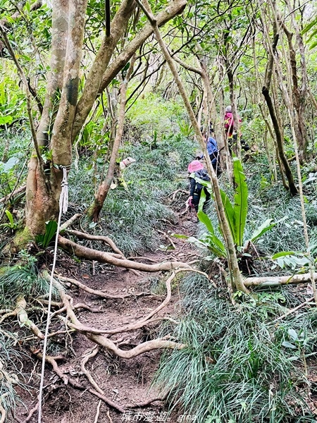 20220219_121945.jpg 20220219_121945.jpg