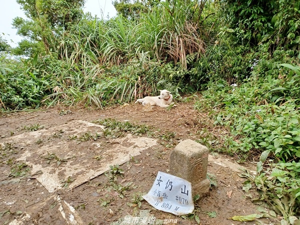 20220219_130723.jpg 20220219_130723.jpg