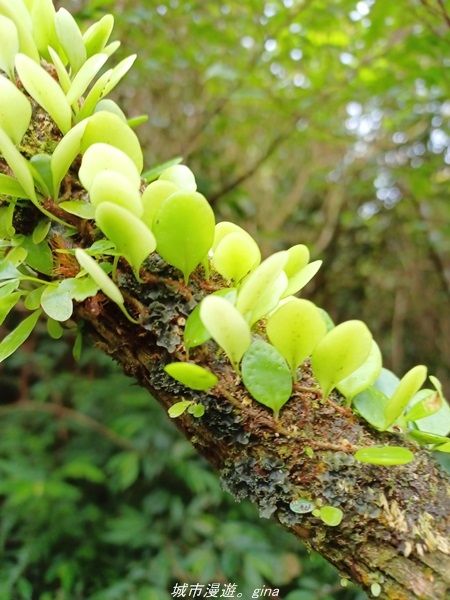 20220219_124535.jpg 20220219_124535.jpg