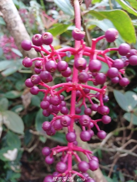 20220219_125611.jpg 20220219_125611.jpg