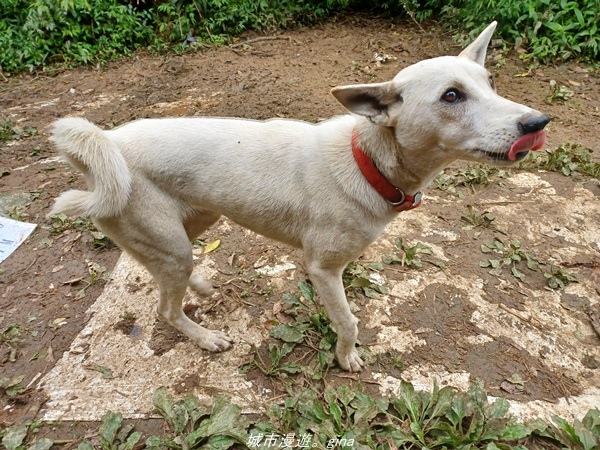 20220219_131729.jpg 20220219_131729.jpg