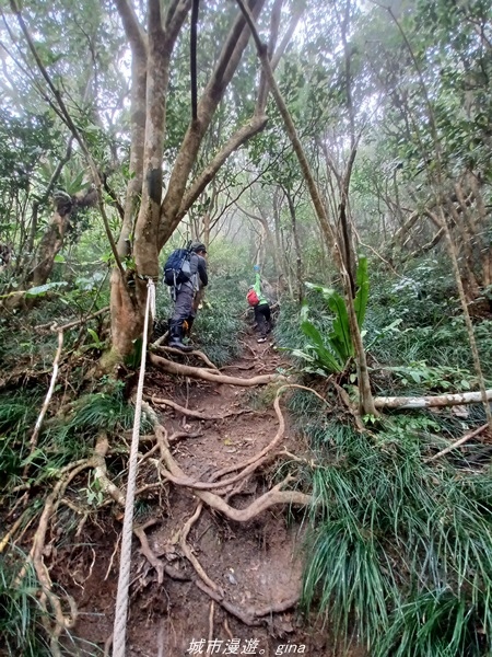 20220219_141034.jpg 20220219_141034.jpg