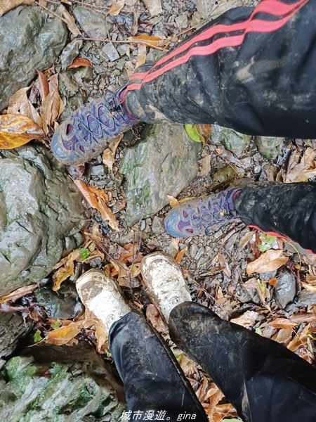 20220219_144742.jpg 20220219_144742.jpg