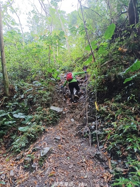 20220219_144701.jpg 20220219_144701.jpg