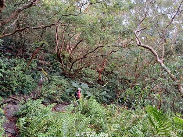 20220219_143648.jpg 20220219_143648.jpg