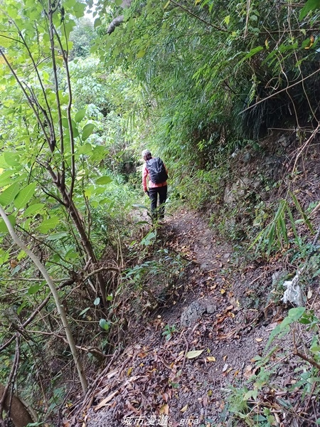 20220219_153440.jpg 20220219_153440.jpg