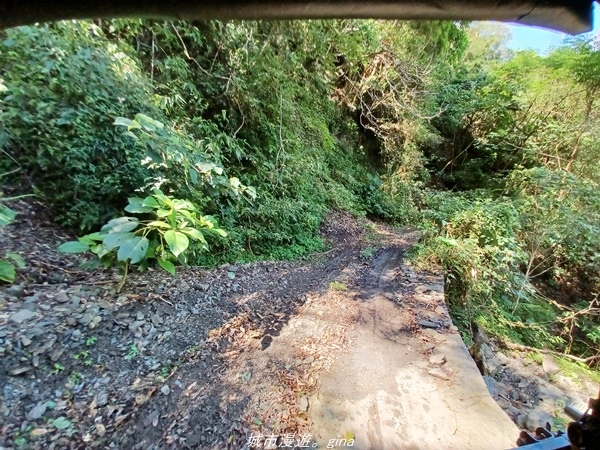 【台東大武】一路搖晃碰碰車。小百岳集起來。  No95小百岳