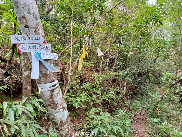 【台東大武】一路搖晃碰碰車。小百岳集起來。  No95小百岳