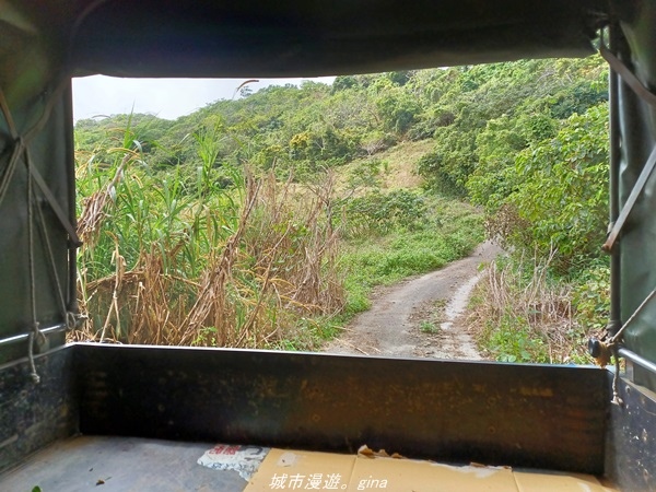 【台東大武】一路搖晃碰碰車。小百岳集起來。  No95小百岳