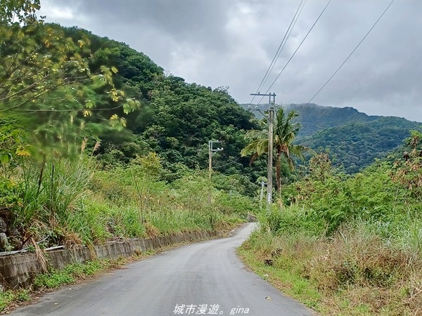 【台東大武】一路搖晃碰碰車。小百岳集起來。  No95小百岳