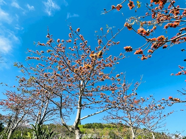 【台東大武】遠眺一望無際藍色太平洋。 小百岳集起來。 No9