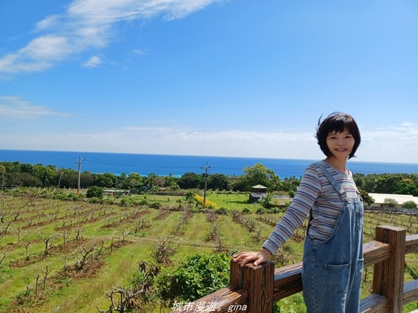 【台東太麻里】翠綠山谷下的清泉。 丹堤金崙溫泉會館x灌籃高手