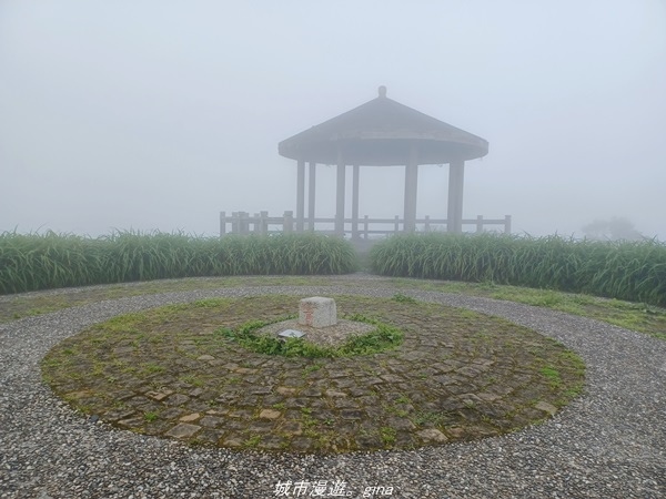 【台東太麻里】沒有金針花只有狹窄的山路。 小百岳集起來。 N