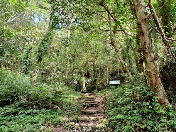 【台東東河】走一趟卑南族阿美族的聖山。 小百岳集起來。 No