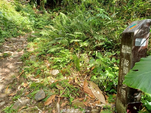 【台東東河】走一趟卑南族阿美族的聖山。 小百岳集起來。 No