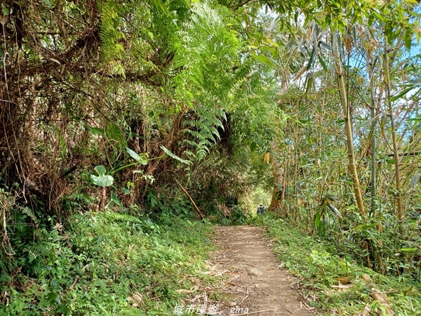 【台東東河】走一趟卑南族阿美族的聖山。 小百岳集起來。 No