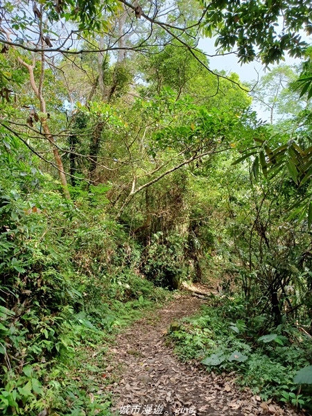 【台東東河】走一趟卑南族阿美族的聖山。 小百岳集起來。 No