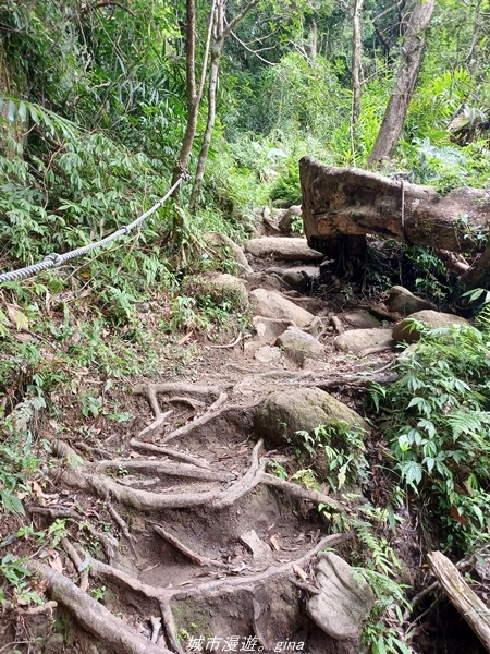 【台東東河】走一趟卑南族阿美族的聖山。 小百岳集起來。 No