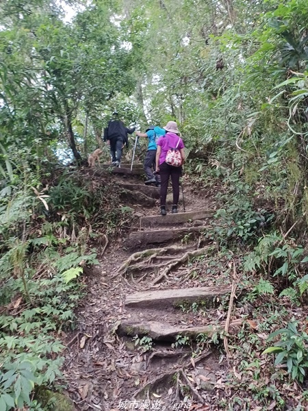 【台東東河】走一趟卑南族阿美族的聖山。 小百岳集起來。 No