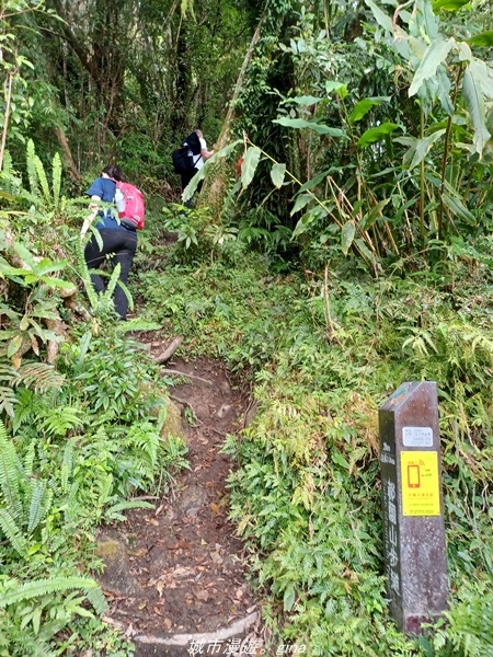 【台東東河】走一趟卑南族阿美族的聖山。 小百岳集起來。 No