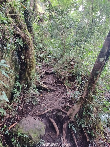 【台東東河】走一趟卑南族阿美族的聖山。 小百岳集起來。 No