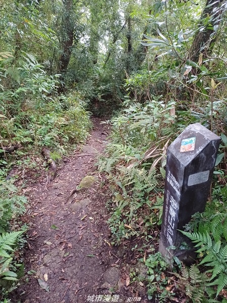 【台東東河】走一趟卑南族阿美族的聖山。 小百岳集起來。 No