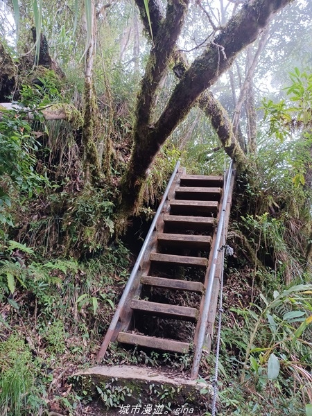 【台東東河】走一趟卑南族阿美族的聖山。 小百岳集起來。 No