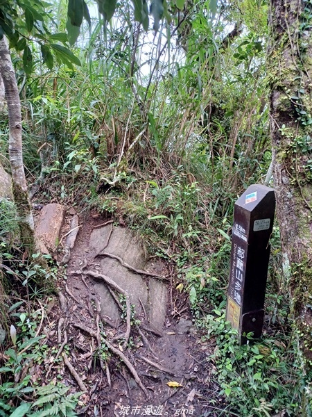 【台東東河】走一趟卑南族阿美族的聖山。 小百岳集起來。 No